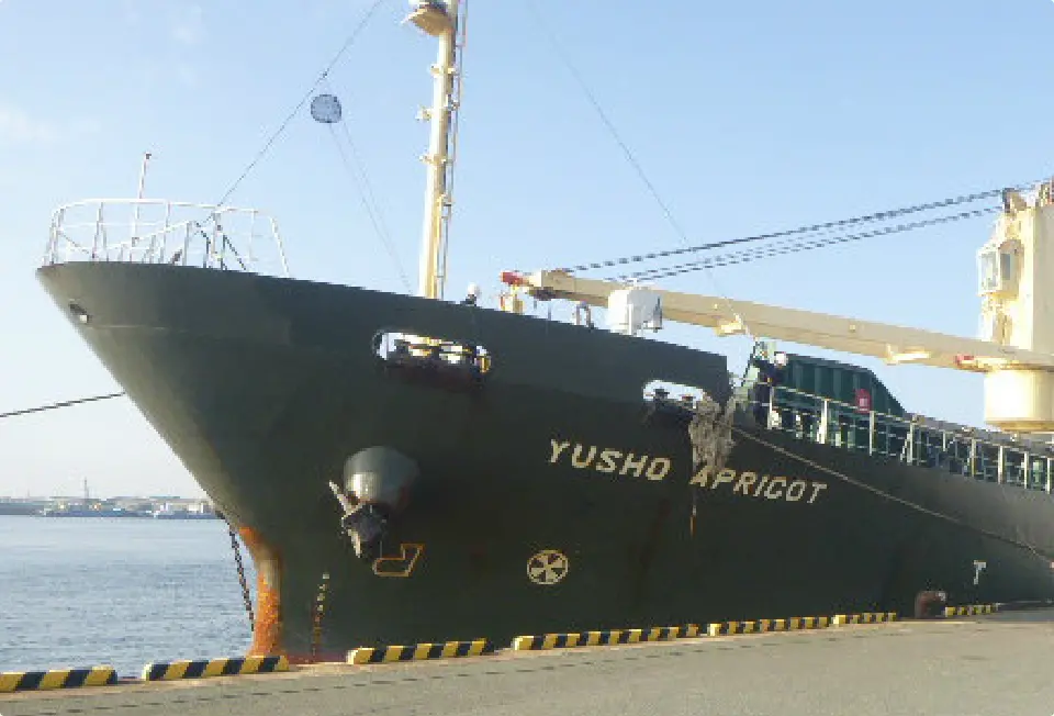 船舶情報 - 大港海運株式会社 - 名古屋の定航在来船運航